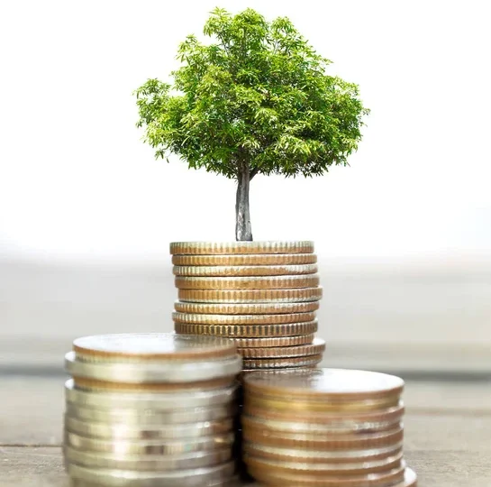 depositphotos_146277809-stock-photo-selective-focus-of-coins-and